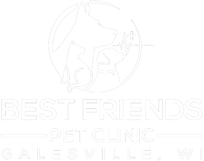 Best Friends Pet Clinic