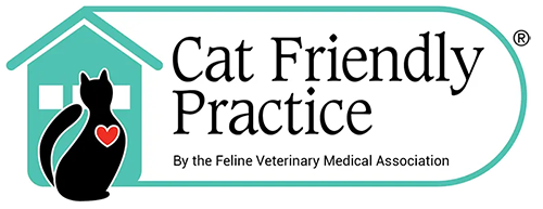 Cat Friendly Practice