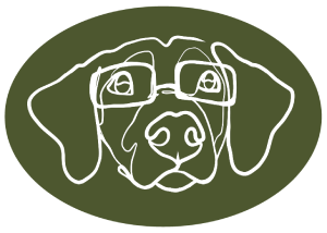 Senior Dog Certified